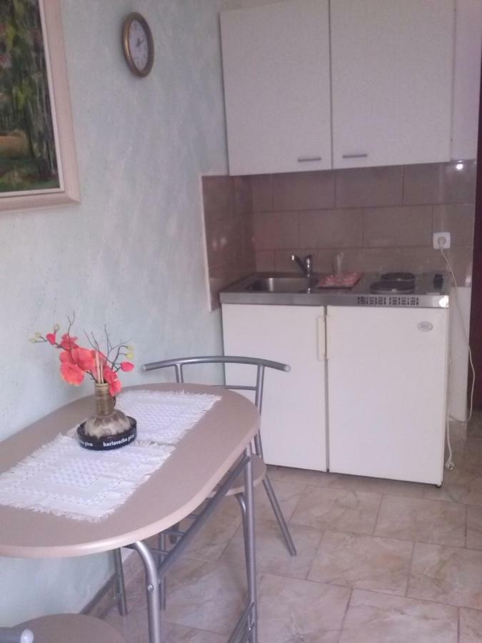 Apartments Vesna Ribarica Exterior photo